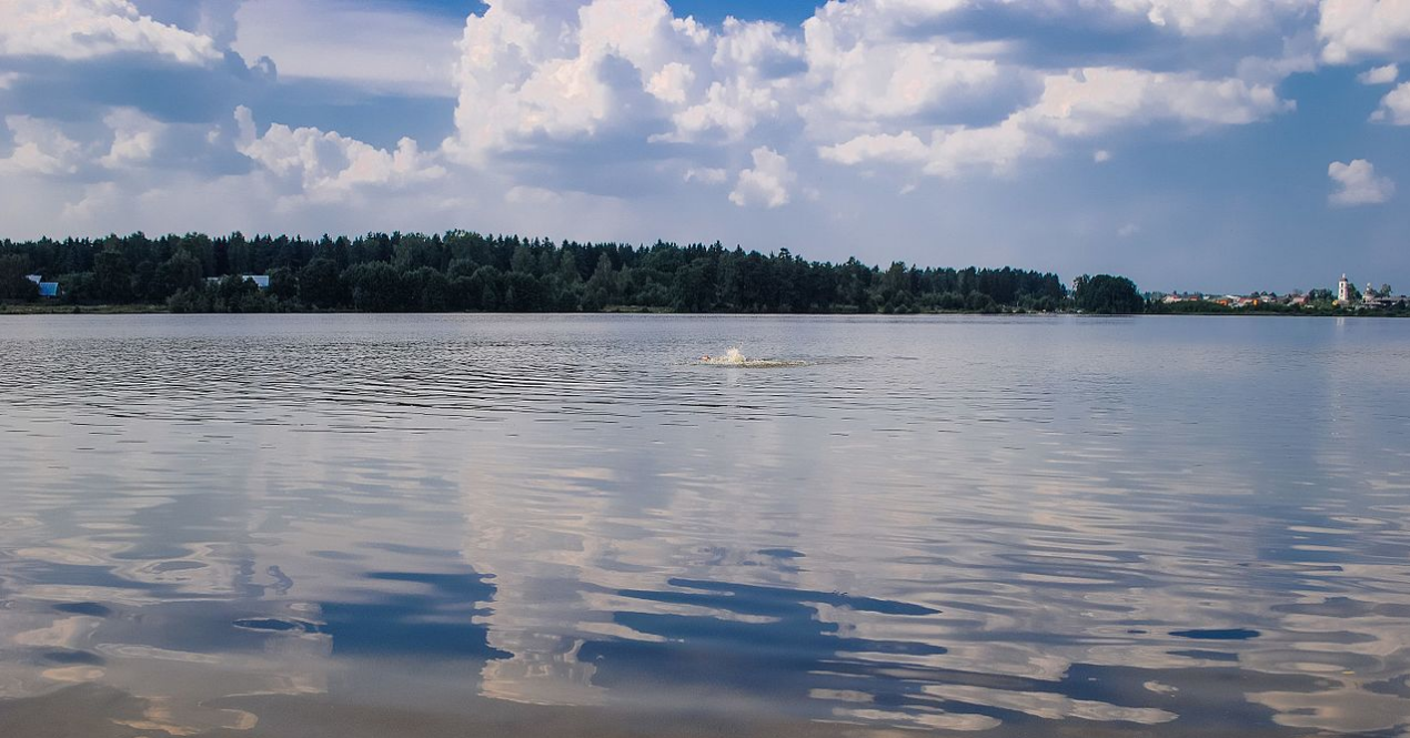 Бисерово озеро московская область. Бисерово озеро. Озеро Бисерово Московская область. Школьное озеро.