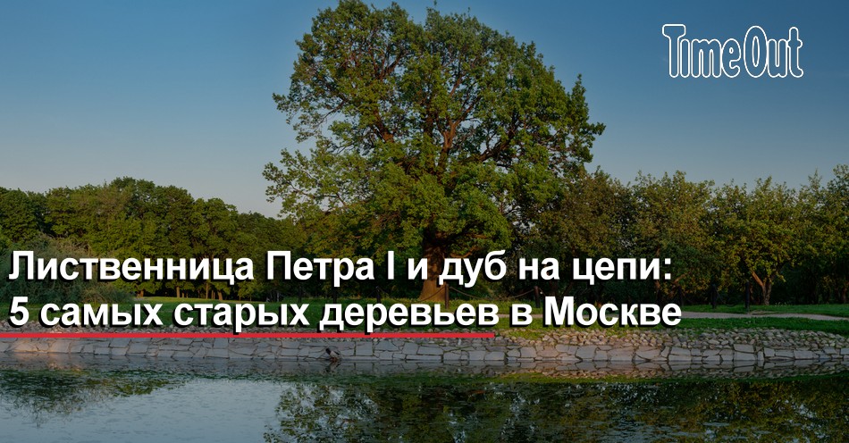 Рабочие должны были посадить 680 деревьев они перевыполнили план на 25 сколько деревьев посадили