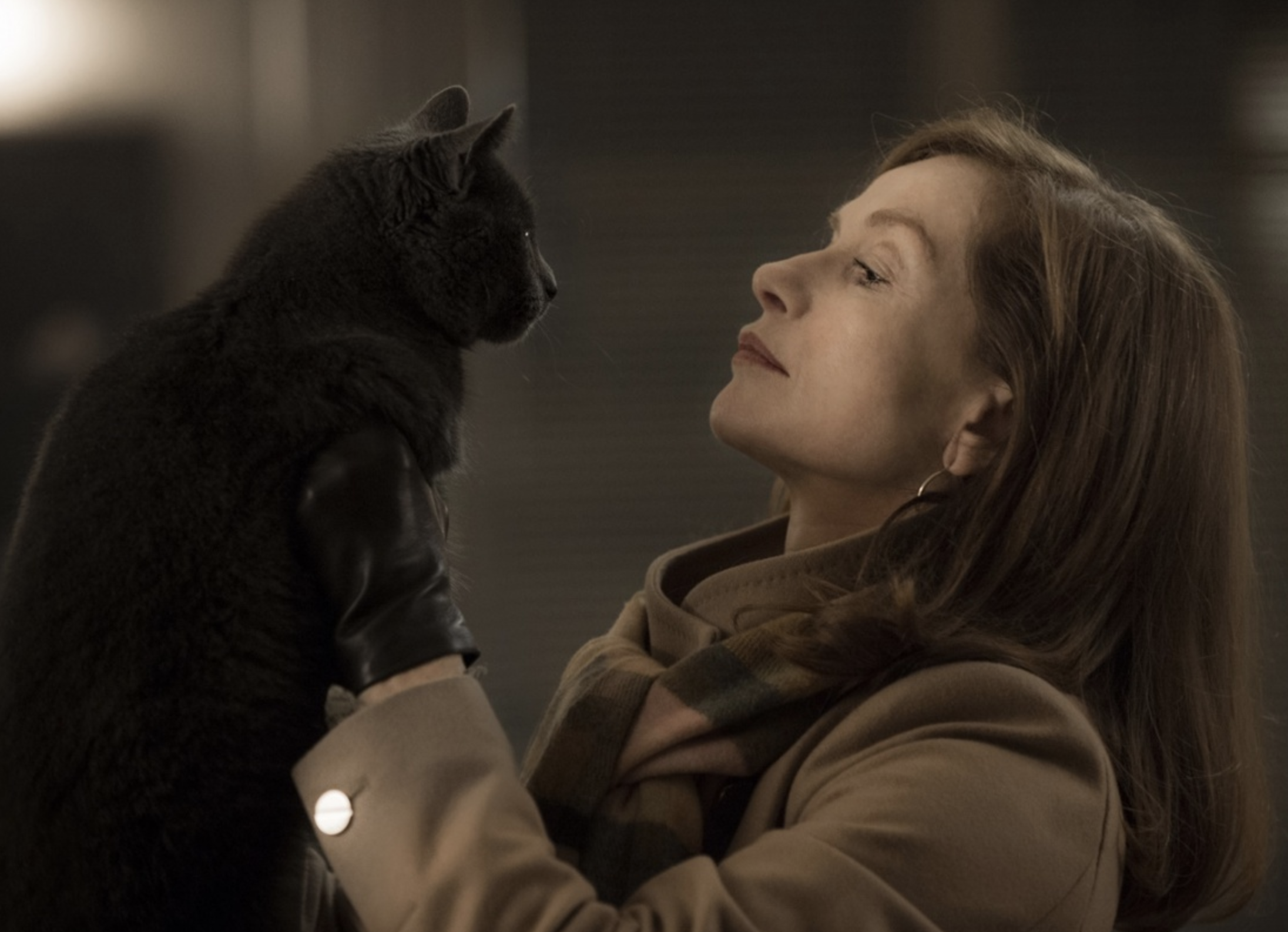 Она 2015. Она 2016 Изабель Юппер. Она фильм 2016. Фильм она пола Верховена. Isabelle Huppert в фильме она.