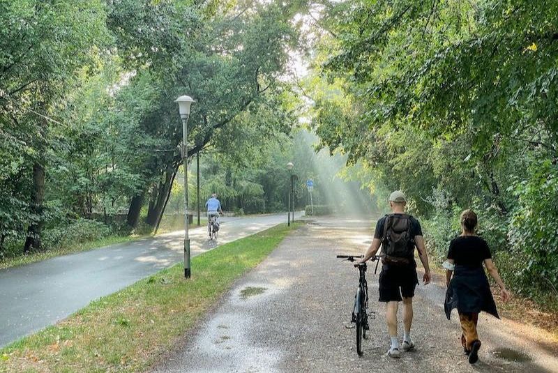 Знакомые места. Зеленая зона. Новая жизнь человека. Проблемы жизни в мегаполисе. Новая жизнь.