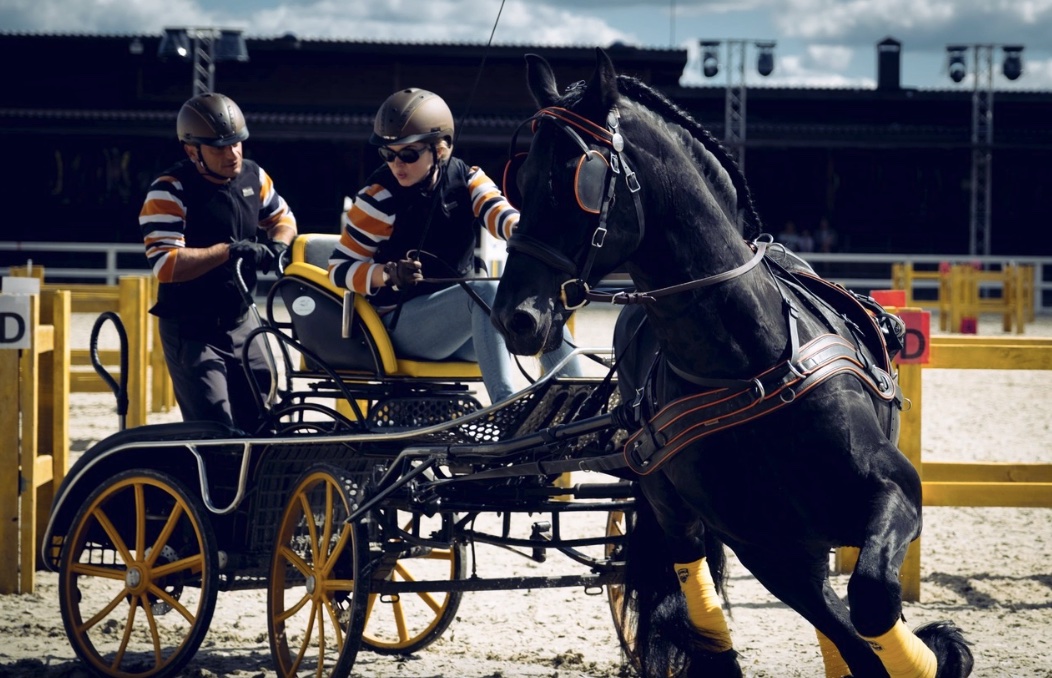 Horseka sport. Шоу соревнования на лошадях. Конные соревнования в Европе. Драйвинг конный спорт. Конные состязания в Лондоне.